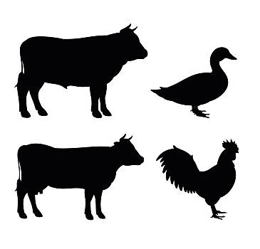 Poultry & Pet Farming