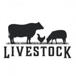 Livestock farming