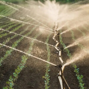 Irrigation and water management